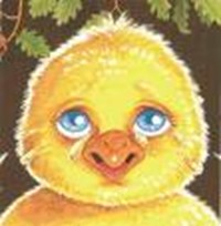 Pollito Pollito 