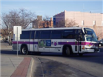 What Bus Should You Own?