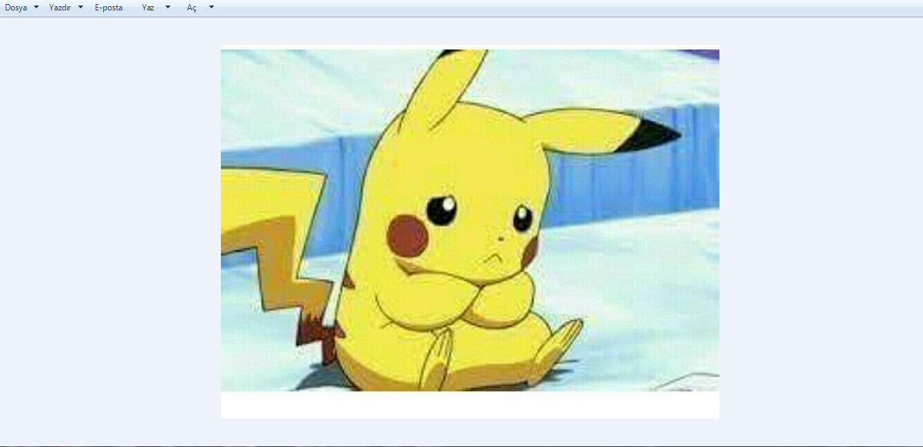 Ne Kadar Malsınız ? 