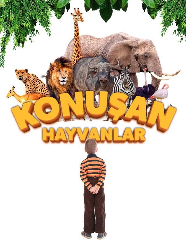 Hangi hayvansın test