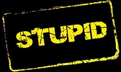 Stupid Or Not Stupid