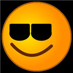 Cool Or Dumb