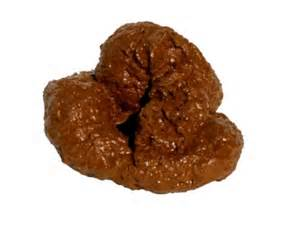 What Kind Of Poop Are You
