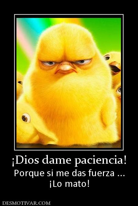 Si Ganas Me Mato