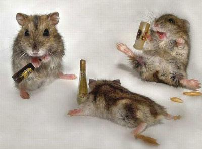 Contro De Alcohol