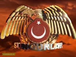 Hangi Sungursun ?