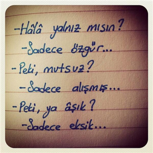 Yalnızmısın