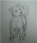 Are You A Dog ,Cat Or Mouse?
