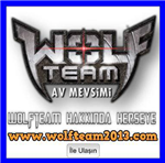 Wolfteam Promo Kodunuz