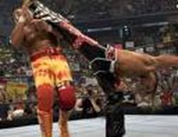 Sizin Wwedeki Finisheriniz Hangisi?