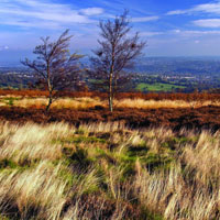 What's Your Favorite Sheffield Wildlife Trust Rese
