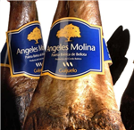 Ángeles Molina