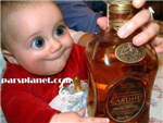 Dneska Alkohol Alebo Travička?