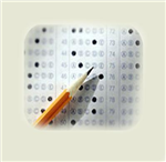 İnonü Lisesi / Mf Misin Tm Misin Ea Mısın