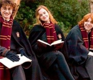 Hangi Harry Potter Karakterisin