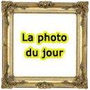 La Photo Du Jour