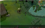 What Online Game Suits You?