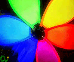 What's Your Color Season?