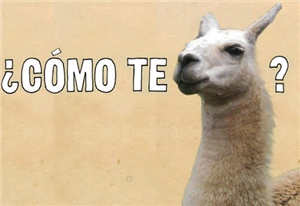 Como Te Llamas?