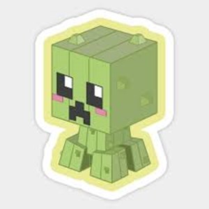 Minecraft mc