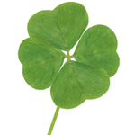 Are You Lucky?