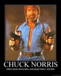 Chuck Norris Or Michael Myers