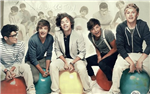 What One Direction Boy Should You Date?