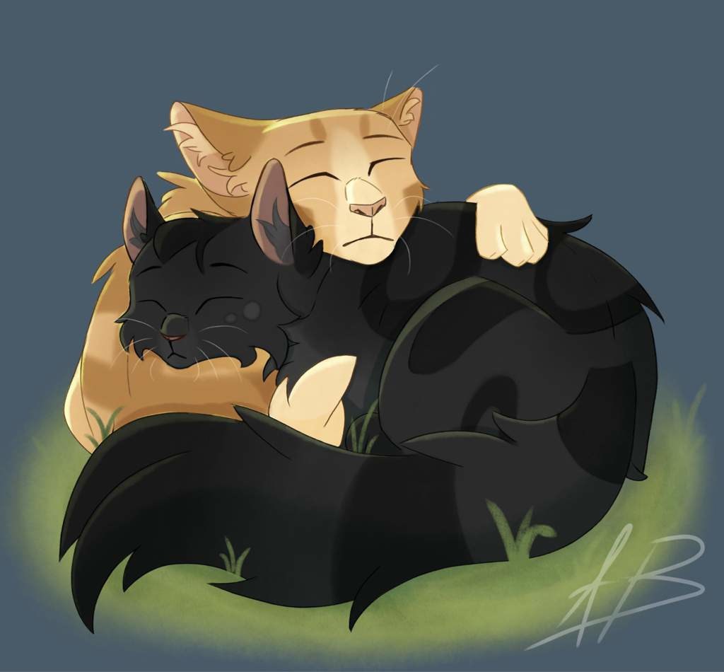 Cual es tu pareja inventada de gatos guerreros para chicas🚺