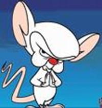 Wach Nta Pinky Wala Brain