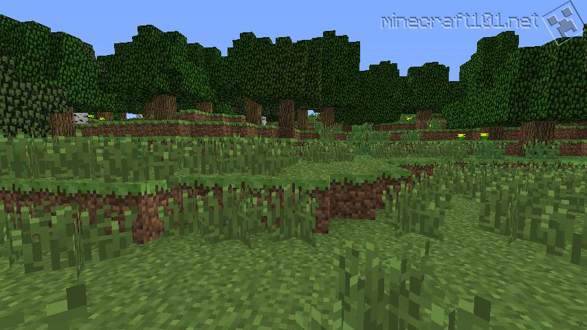 Hangi Minecraft Biyomusun?