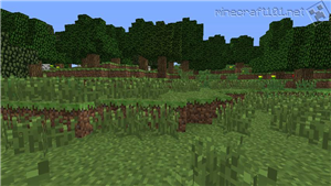 Hangi Minecraft Biyomusun?