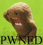 How Pwnage Are You ;D