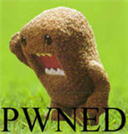 How Pwnage Are You ;D
