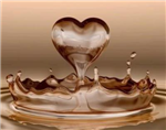 Whats Does Your Heart Look Like