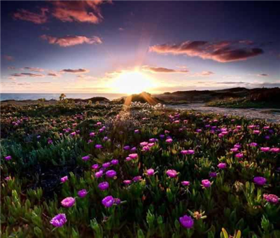 happy spring
