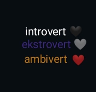 Apakah anda introvert, extrovert atau ambivert?