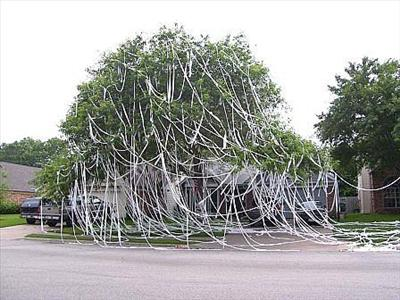 What Will Happen To You On Mischief Night