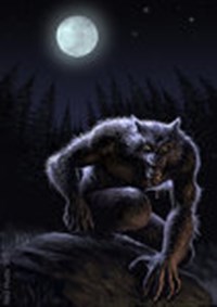 Werewolf Or Vampire?