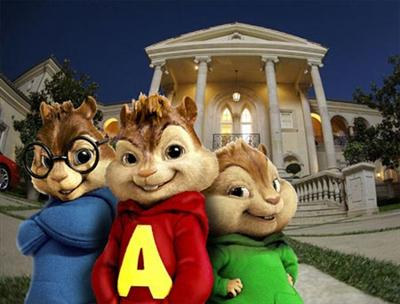 The Chipmunk Quiz!