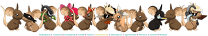Que Tanto Sabes De Transformice?