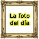 La Foto Del Día