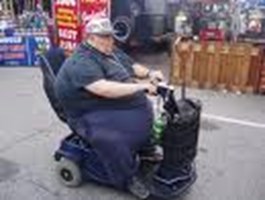 How Fat Are You?
