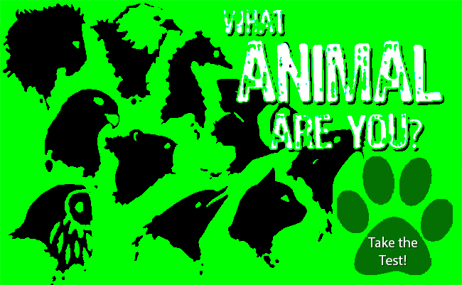 What Animal Are You?