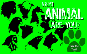 What Animal Are You?