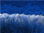 ????????????