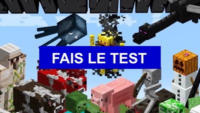 Test De Personnalité Minecraft 