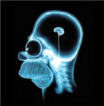 Intelligent Ou Imbécile