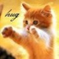 Do U Need A Hug 2Day
