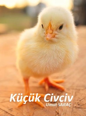 Civcivlerimden Hangisine Benziyosun