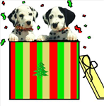 Box Gifts
